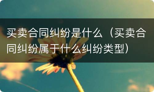 买卖合同纠纷是什么（买卖合同纠纷属于什么纠纷类型）