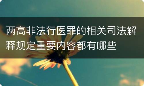 两高非法行医罪的相关司法解释规定重要内容都有哪些