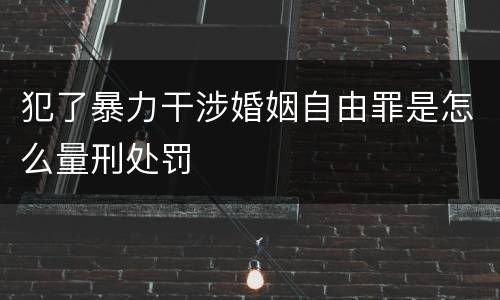 犯了暴力干涉婚姻自由罪是怎么量刑处罚