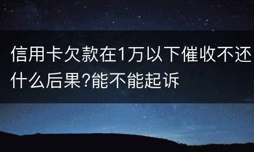 信用卡欠款在1万以下催收不还什么后果?能不能起诉