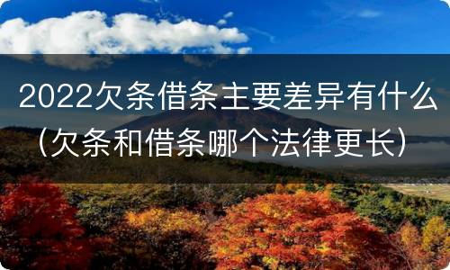 2022欠条借条主要差异有什么（欠条和借条哪个法律更长）