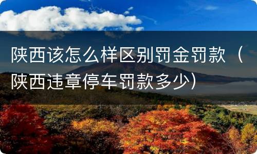 陕西该怎么样区别罚金罚款（陕西违章停车罚款多少）