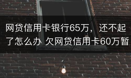 网贷信用卡银行65万，还不起了怎么办 欠网贷信用卡60万暂时无力偿还