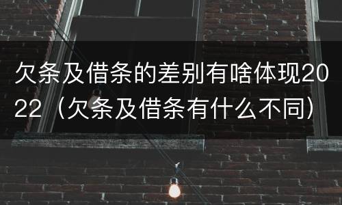 欠条及借条的差别有啥体现2022（欠条及借条有什么不同）