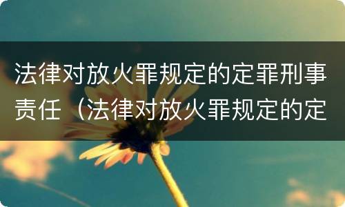 法律对放火罪规定的定罪刑事责任（法律对放火罪规定的定罪刑事责任的定义）