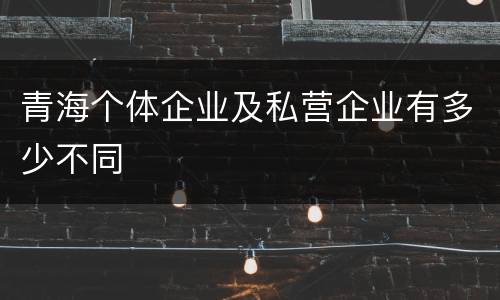 青海个体企业及私营企业有多少不同