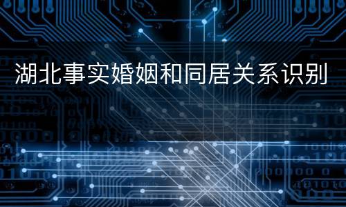 湖北事实婚姻和同居关系识别
