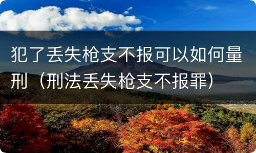 犯了丢失枪支不报可以如何量刑（刑法丢失枪支不报罪）
