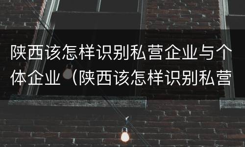 陕西该怎样识别私营企业与个体企业（陕西该怎样识别私营企业与个体企业呢）