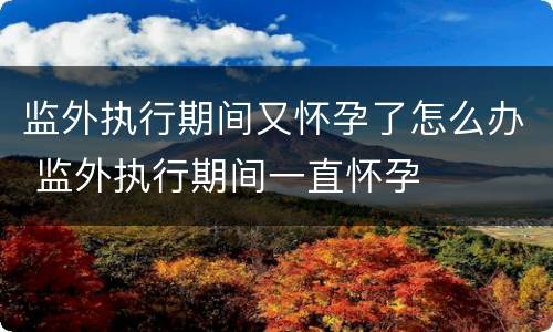 监外执行期间又怀孕了怎么办 监外执行期间一直怀孕