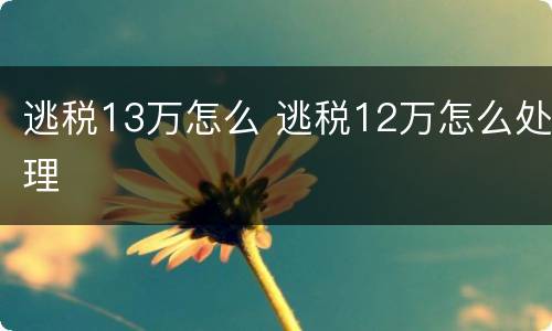 逃税13万怎么 逃税12万怎么处理