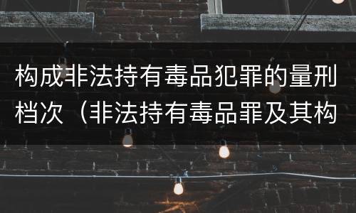 构成非法持有毒品犯罪的量刑档次（非法持有毒品罪及其构成特征）