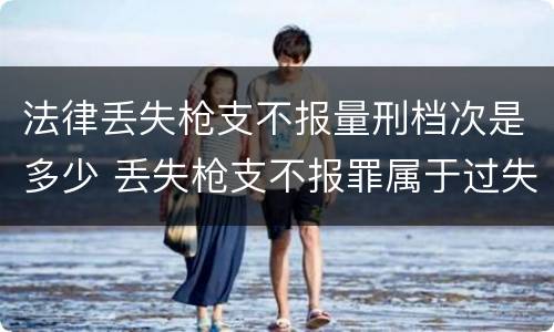 法律丢失枪支不报量刑档次是多少 丢失枪支不报罪属于过失犯罪吗