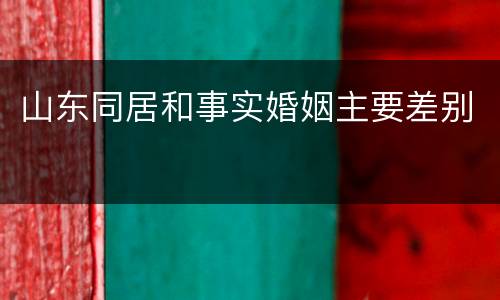 山东同居和事实婚姻主要差别