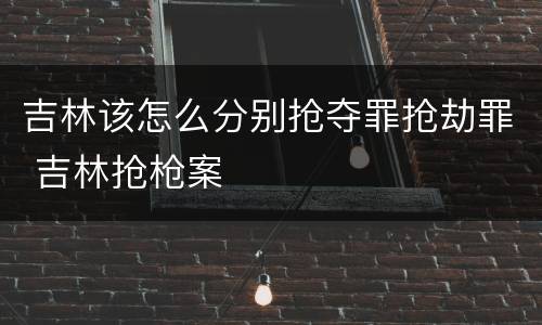 吉林该怎么分别抢夺罪抢劫罪 吉林抢枪案