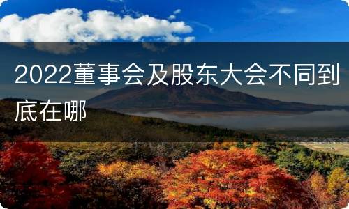 2022董事会及股东大会不同到底在哪