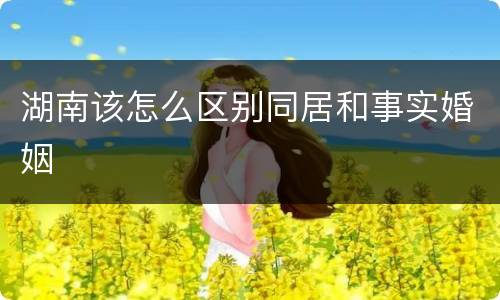 湖南该怎么区别同居和事实婚姻