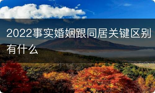 2022事实婚姻跟同居关键区别有什么