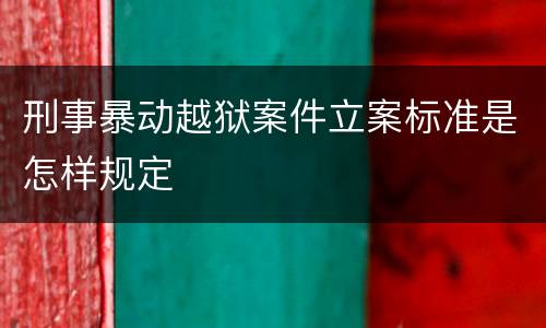 刑事暴动越狱案件立案标准是怎样规定