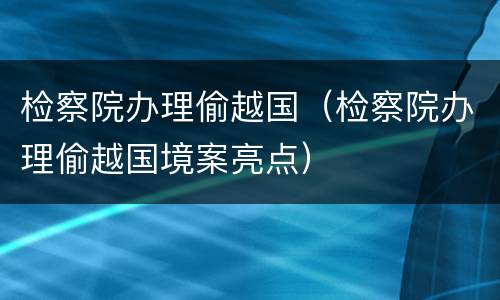 检察院办理偷越国（检察院办理偷越国境案亮点）
