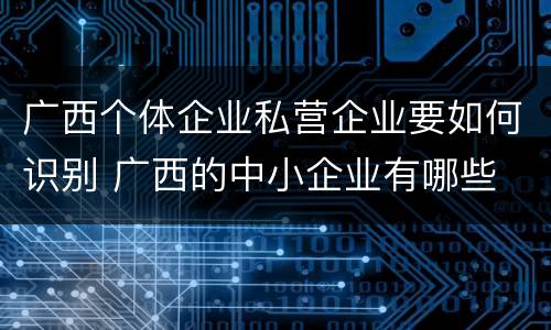 广西个体企业私营企业要如何识别 广西的中小企业有哪些