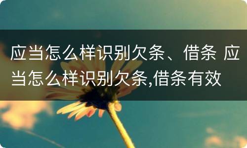 应当怎么样识别欠条、借条 应当怎么样识别欠条,借条有效