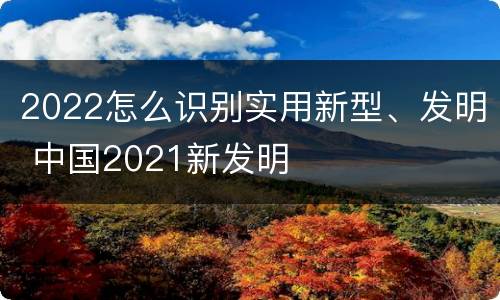 2022怎么识别实用新型、发明 中国2021新发明