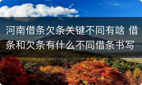 河南借条欠条关键不同有啥 借条和欠条有什么不同借条书写