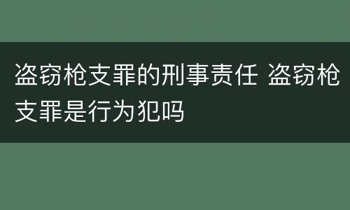 盗窃枪支罪的刑事责任 盗窃枪支罪是行为犯吗