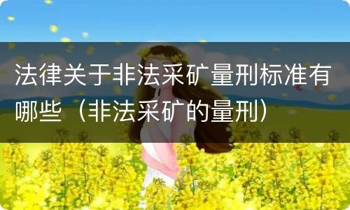 法律关于非法采矿量刑标准有哪些（非法采矿的量刑）