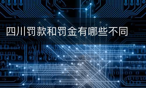 四川罚款和罚金有哪些不同