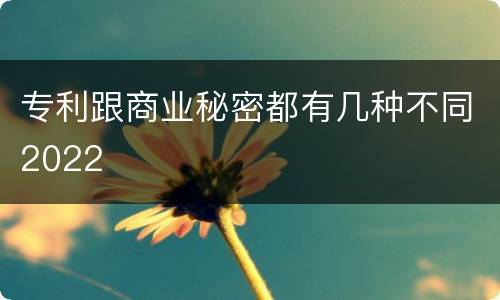 专利跟商业秘密都有几种不同2022