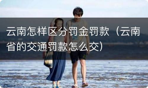 云南怎样区分罚金罚款（云南省的交通罚款怎么交）