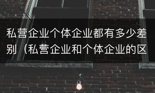私营企业个体企业都有多少差别（私营企业和个体企业的区别）