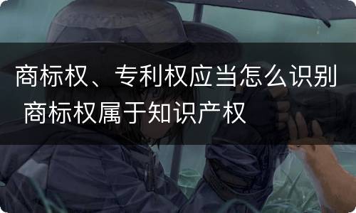 商标权、专利权应当怎么识别 商标权属于知识产权