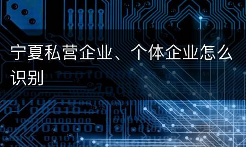 宁夏私营企业、个体企业怎么识别