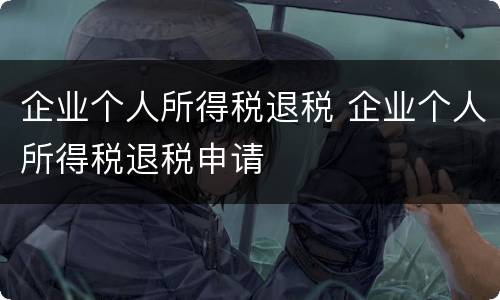 企业个人所得税退税 企业个人所得税退税申请
