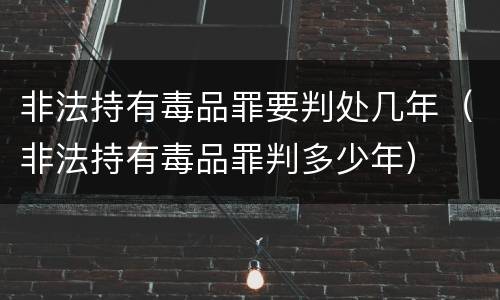 非法持有毒品罪要判处几年（非法持有毒品罪判多少年）