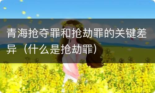 青海抢夺罪和抢劫罪的关键差异（什么是抢劫罪）