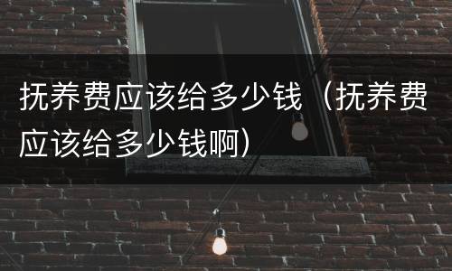 抚养费应该给多少钱（抚养费应该给多少钱啊）