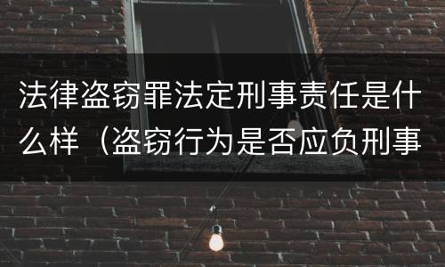 法律盗窃罪法定刑事责任是什么样（盗窃行为是否应负刑事法律责任）