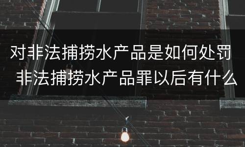 对非法捕捞水产品是如何处罚 非法捕捞水产品罪以后有什么