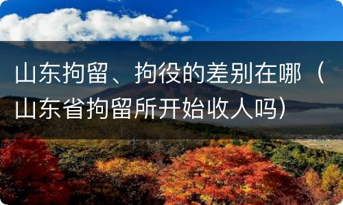 山东拘留、拘役的差别在哪（山东省拘留所开始收人吗）