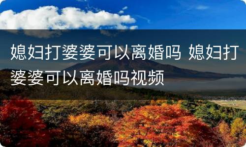 媳妇打婆婆可以离婚吗 媳妇打婆婆可以离婚吗视频