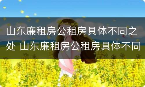 山东廉租房公租房具体不同之处 山东廉租房公租房具体不同之处在哪