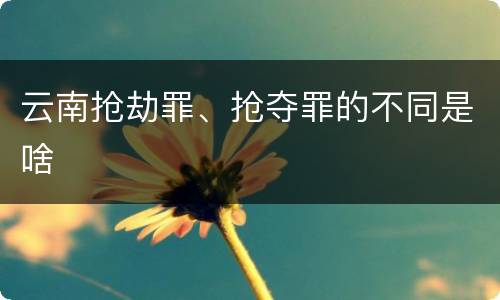 云南抢劫罪、抢夺罪的不同是啥