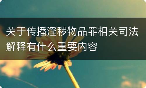 关于传播淫秽物品罪相关司法解释有什么重要内容
