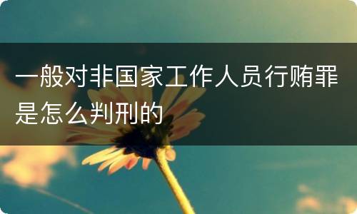 一般对非国家工作人员行贿罪是怎么判刑的