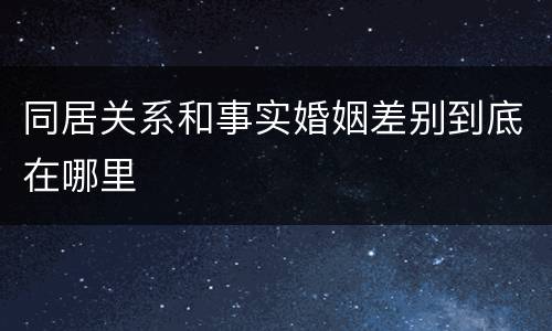 同居关系和事实婚姻差别到底在哪里