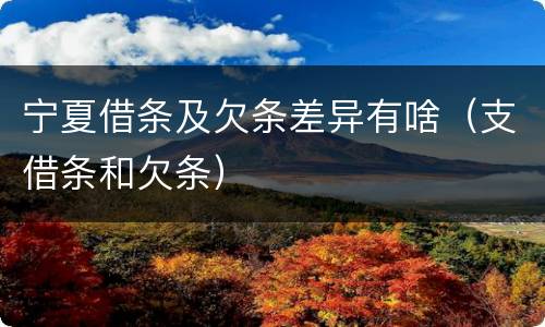 宁夏借条及欠条差异有啥（支借条和欠条）